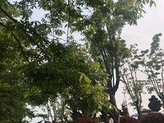 -汇泉广场