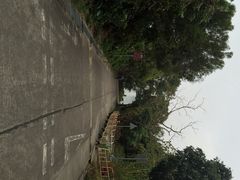 iphone_upload_pic-南丫岛