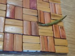 -金豆角砂锅焖面(安贞店)