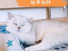 -美迦爱-牙专科·兔科·骨科诊疗中心(北苑店)