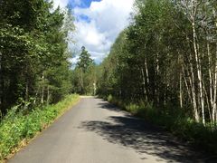 -五营红松林海景区