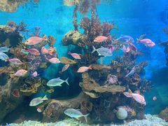 -多彩贵州城极地海洋世界