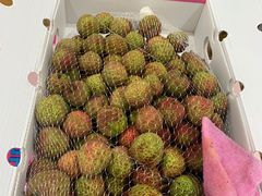 -山姆会员商店(南昌店)