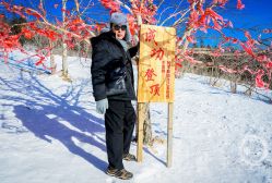 -大秃顶子山
