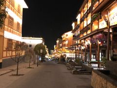 -燕兵眉州肥肠鱼饭店