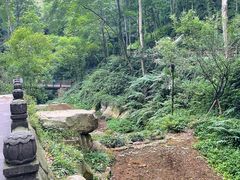 -青城山