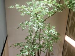 -碧涛阁水世界酒店·洗浴·自助(万家丽路店)