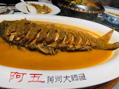 -阿五黄河大鲤鱼(纬三路店)