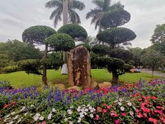 -番禺大夫山森林公园