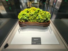 -安徽省地质博物馆