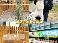 -廊坊固安福朋喜来登酒店