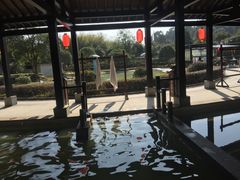 -三江森林温泉度假区