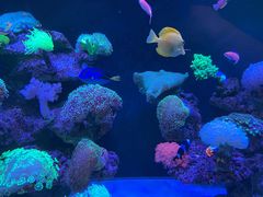 -海合安成都极地海洋公园