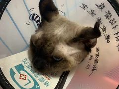 -格蕾宠物医院24H·猫科·肿瘤科·骨科中心(福州总院)