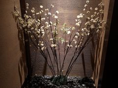 -千代武日本料理(爱建店)