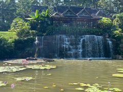 -中国科学院西双版纳热带植物园