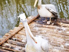 -济南野生动物世界