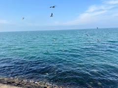 -悦海公园