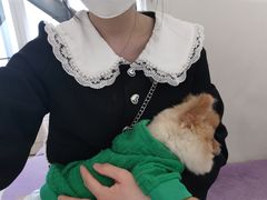 -怪兽屋·羊驼·猫咖·狗咖(俊华广场店)