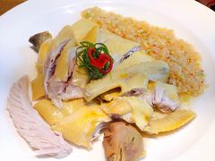 白切果园鸡-大鸽饭(岗顶店)