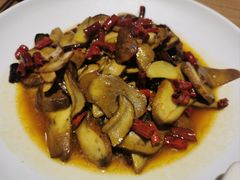 -鲜菌江湖正宗野生菌火锅