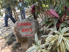 -中国科学院西双版纳热带植物园