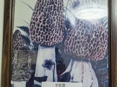 -太婆天府山珍酒楼(亚运村店)
