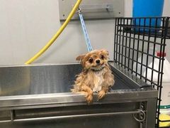 -肯德基(胜利店)