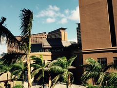 iphone_upload_pic-三亚湾红树林度假世界(木棉酒店)