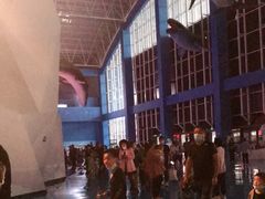 -泉城欧乐堡海洋极地世界