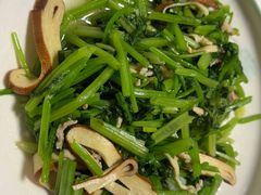 -小小饭店·休闲农庄·安吉松树林里的农家菜