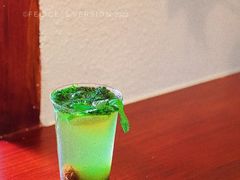 梅子薄荷苏打-树夏Tree Summer