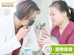 -艾贝尔宠物医院·狂犬免疫点(江山金象城店)