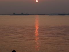 -芒洲湿地公园