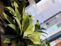 -新石器烤肉(高行万嘉店)