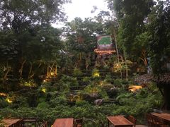 -绿光森林餐厅