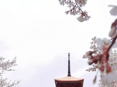 -东湖生态旅游风景区