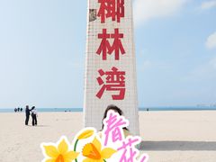 -东郊椰林