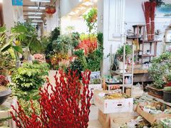 -双季花艺园艺市场(浦东店)
