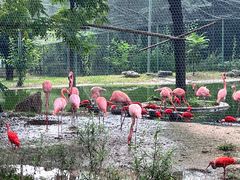 -石家庄市动物园