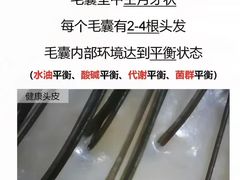 -中国农业大学(西校区)