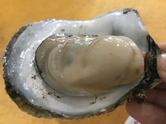 -蚝专家(北滘店)