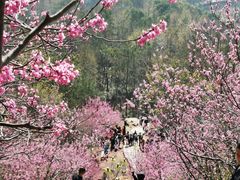 -天台山赤城山景区