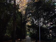 -西南交通大学(九里校区)
