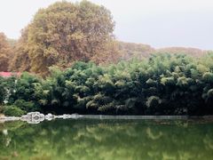 -河南省黄河迎宾馆