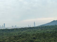 -灵谷景区