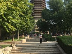 -玲珑塔公园