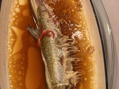 -全聚德(上海首店浦东店)