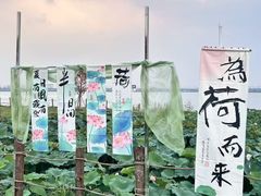 -七的湖·晚芳亭·阳澄湖农家菜·大闸蟹(莲花岛店)