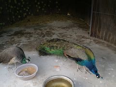 -云水涧亲子度假酒店